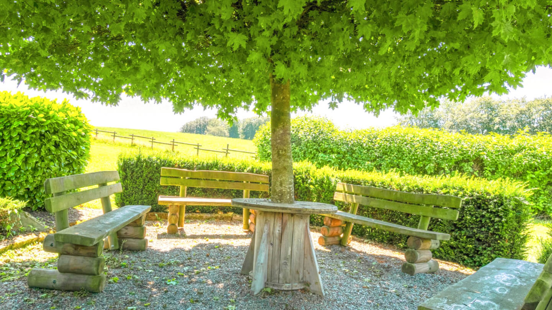 L'Ardenne belge, généreuse prête à vous accueillir - photo 5